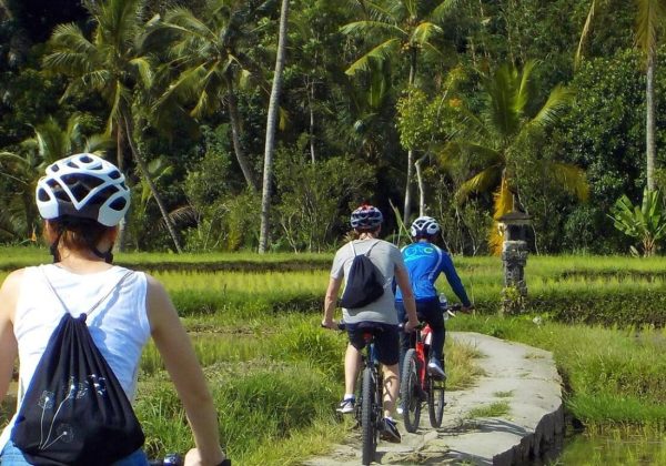 bali-cycling-fin-1