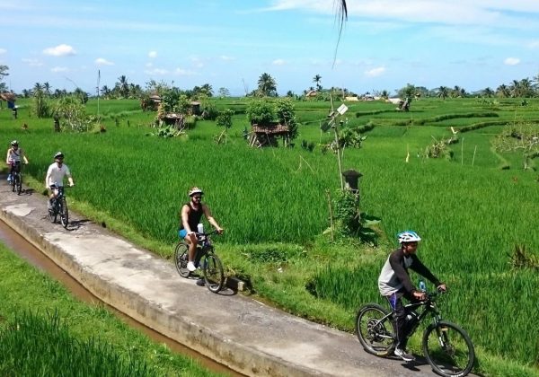 cycling-in-ubud