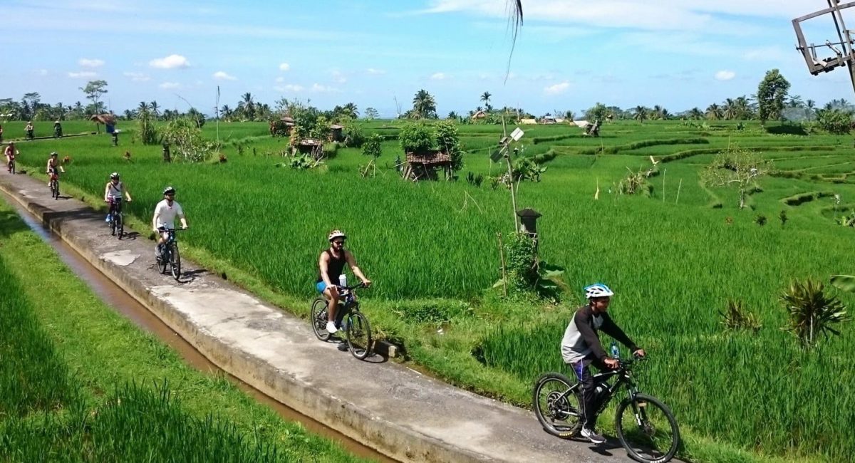 cycling-in-ubud