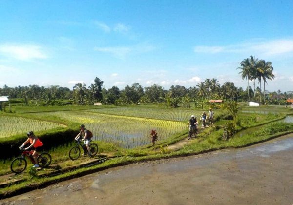 eBikesBali-Ubud-to-Tegalalang-Tour_01