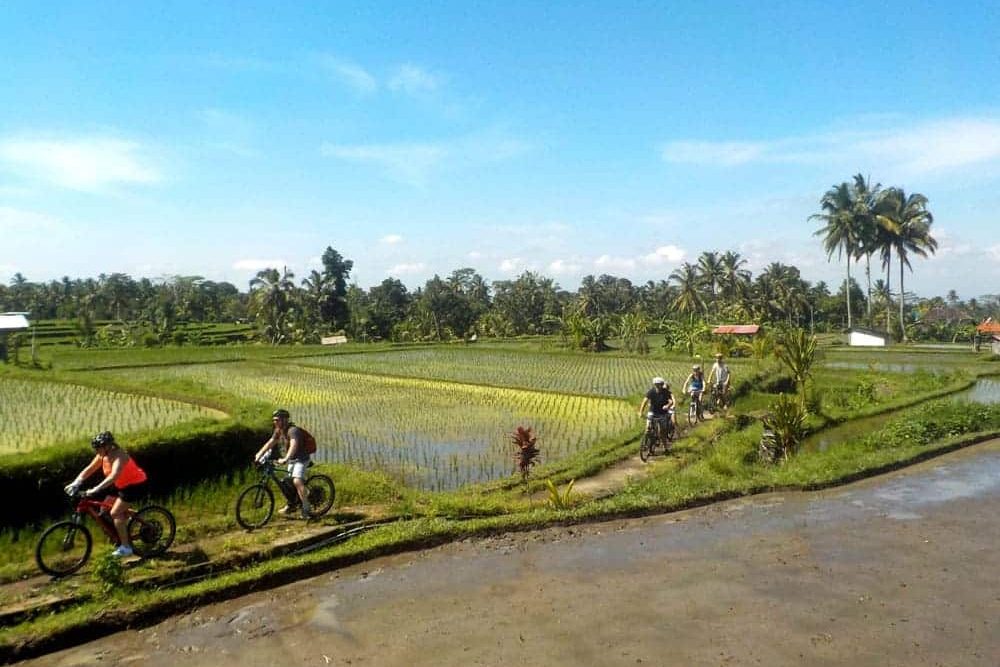 eBikesBali-Ubud-to-Tegalalang-Tour_01