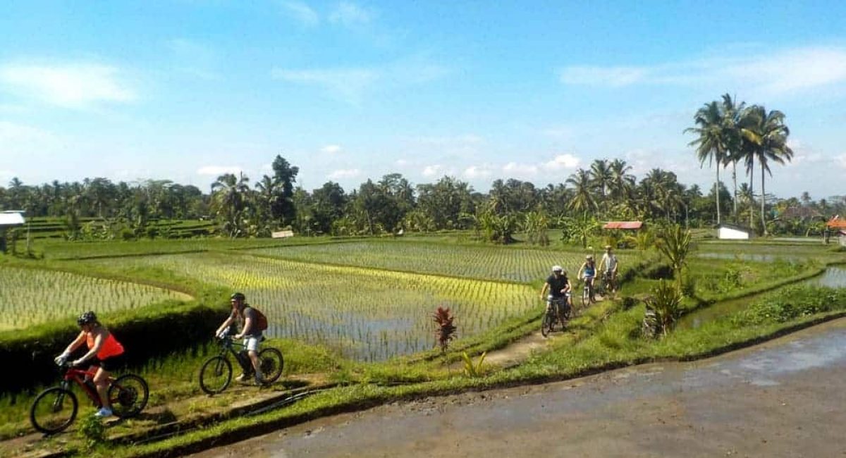 eBikesBali-Ubud-to-Tegalalang-Tour_01