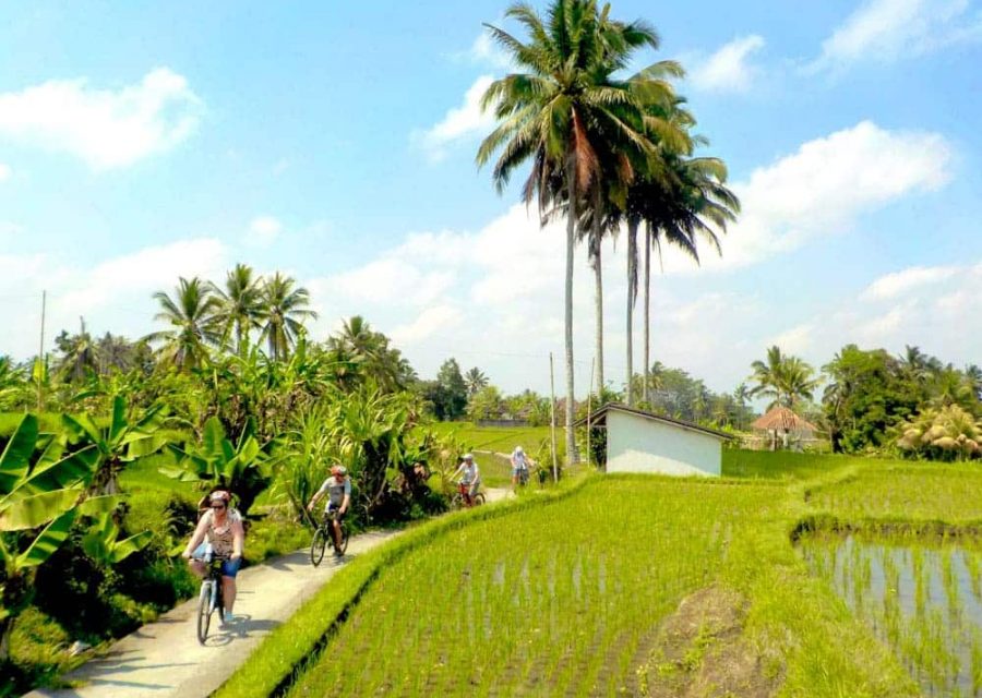 eBikesBali-Ubud-to-Tegalalang-Tour_08