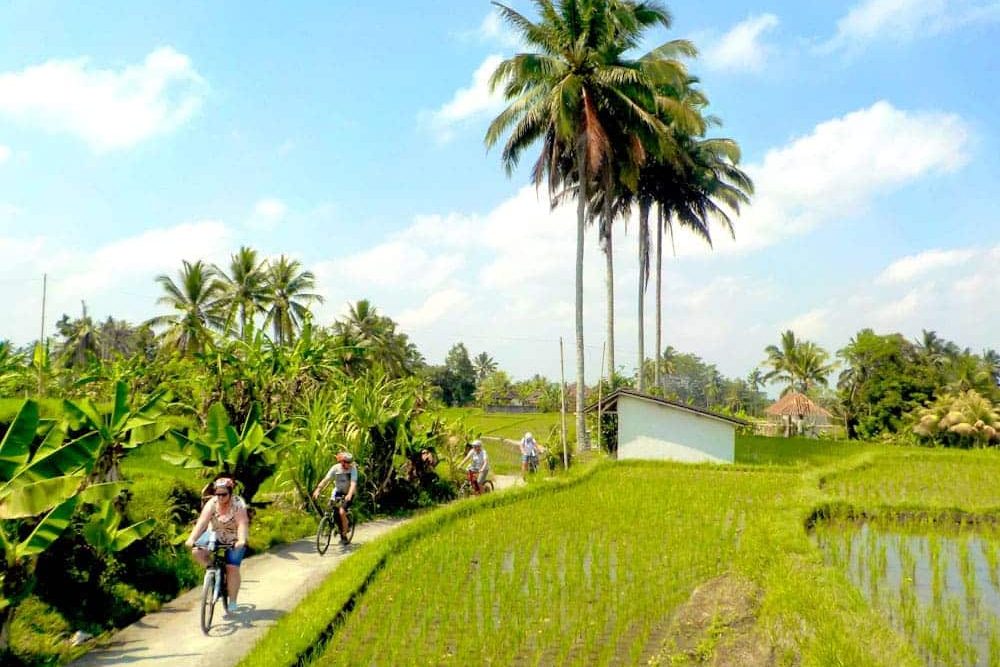 eBikesBali-Ubud-to-Tegalalang-Tour_08