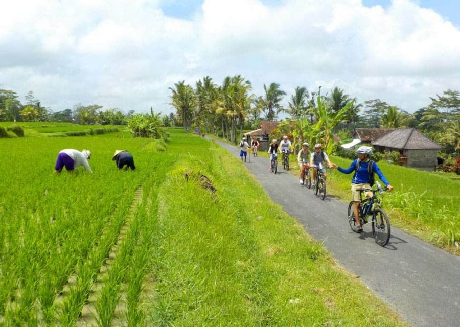 eBikesBali-Ubud-to-Tegalalang-Tour_11