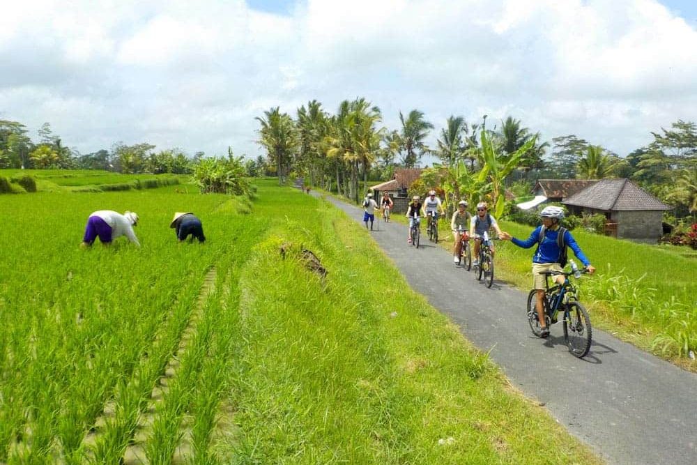 eBikesBali-Ubud-to-Tegalalang-Tour_11