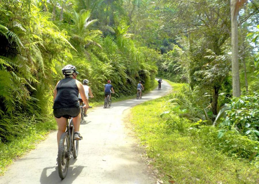 eBikesBali-Ubud-to-Tegalalang-Tour_14