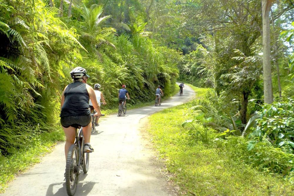 eBikesBali-Ubud-to-Tegalalang-Tour_14