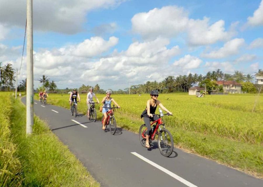 eBikesBali-Ubud-to-Tegalalang-Tour_15