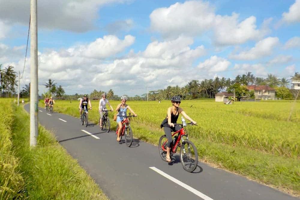 eBikesBali-Ubud-to-Tegalalang-Tour_15