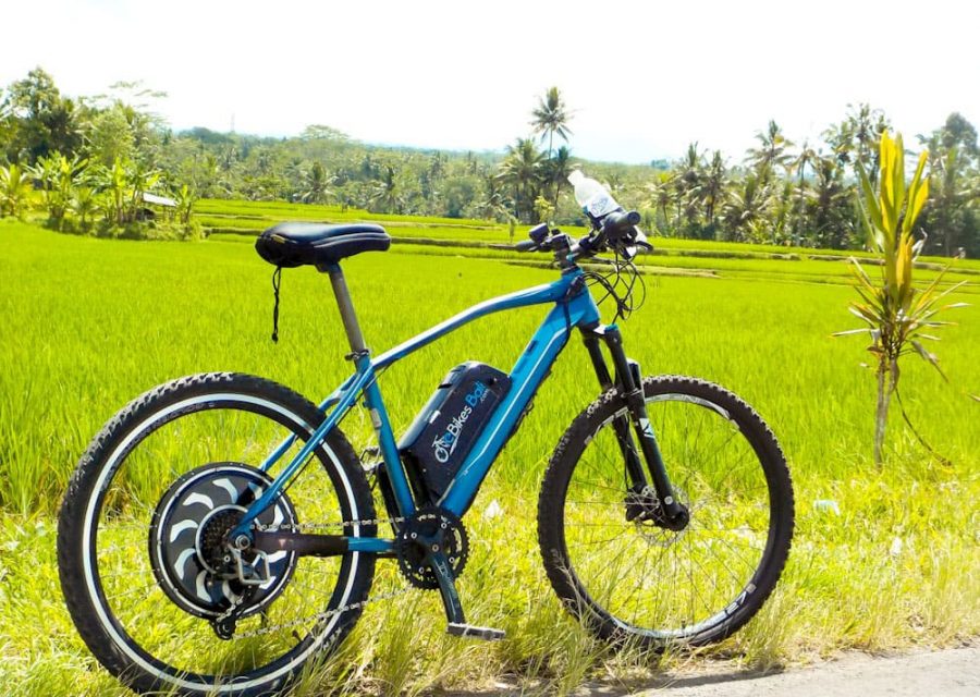 eBikesBali-Ubud-to-Tegalalang-Tour_16