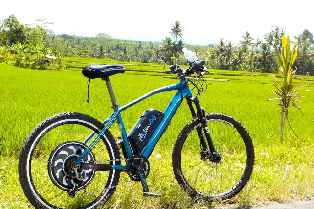 eBikesBali-Ubud-to-Tegalalang-Tour_16