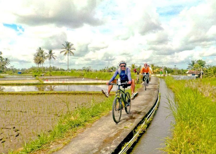 eBikesBali-Ubud-to-Tegalalang-Tour_17