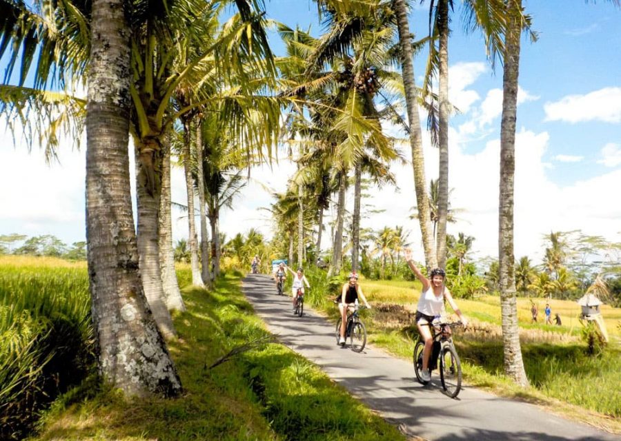 eBikesBali-Ubud-to-Tegalalang-Tour_18