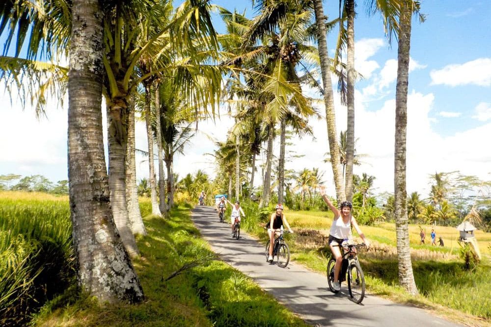 eBikesBali-Ubud-to-Tegalalang-Tour_18