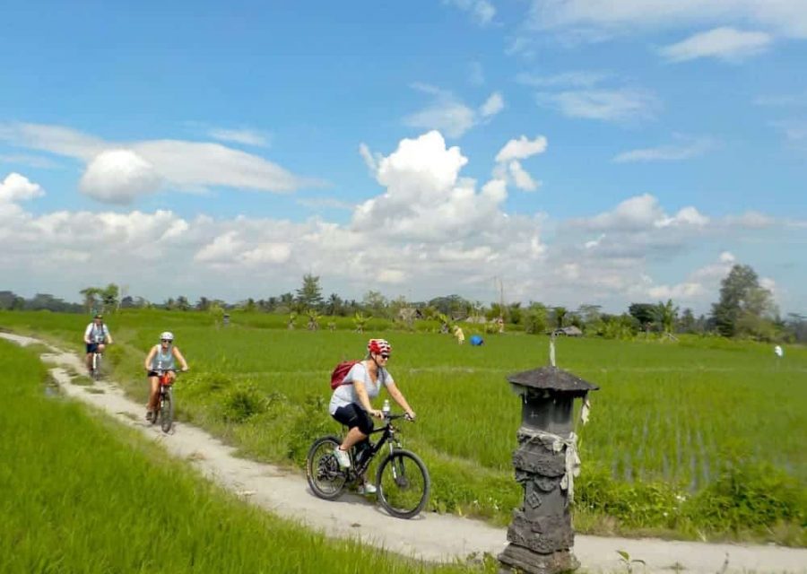 eBikesBali-Ubud-to-Tegalalang-Tour_20