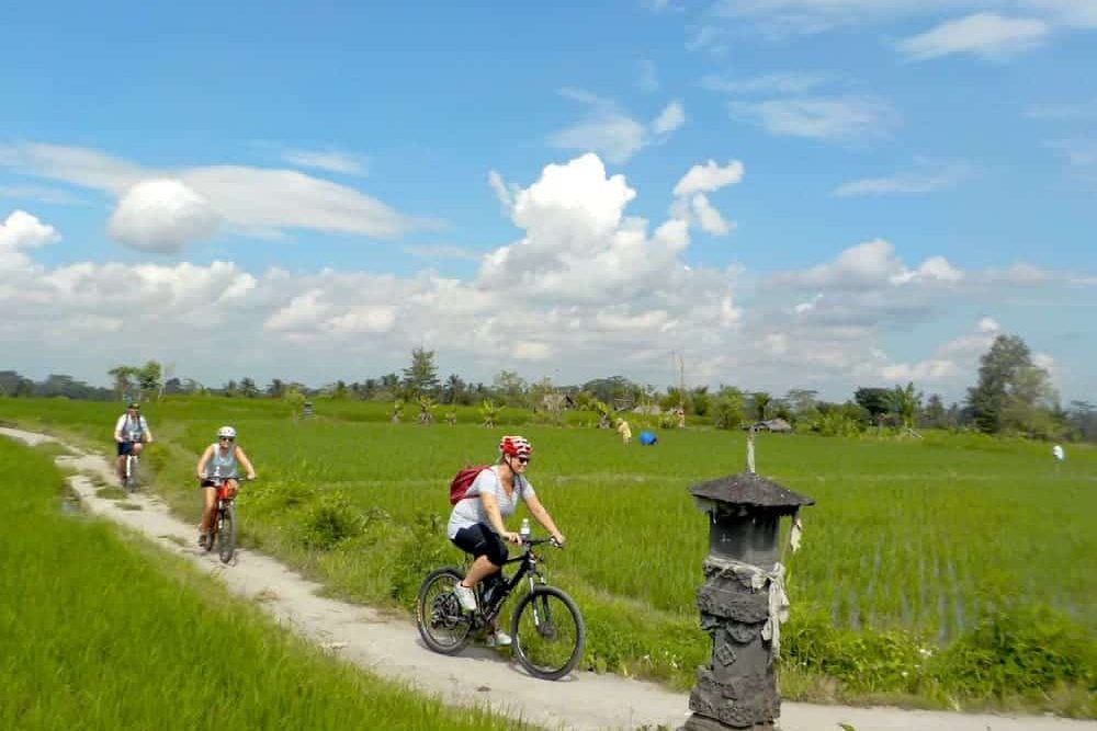 eBikesBali-Ubud-to-Tegalalang-Tour_20