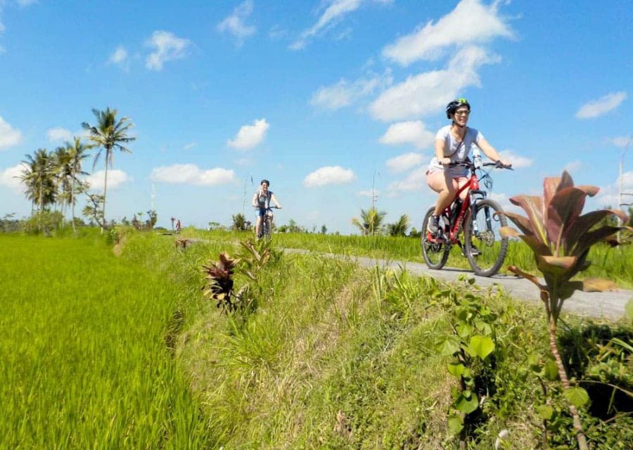 eBikesBali-Ubud-to-Tegalalang-Tour_22