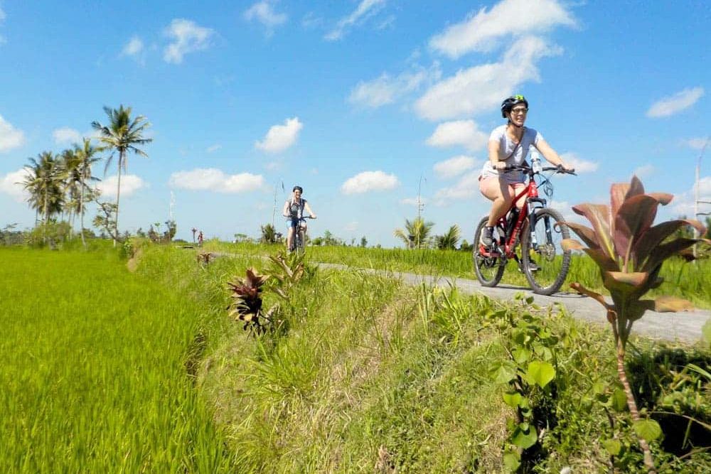 eBikesBali-Ubud-to-Tegalalang-Tour_22