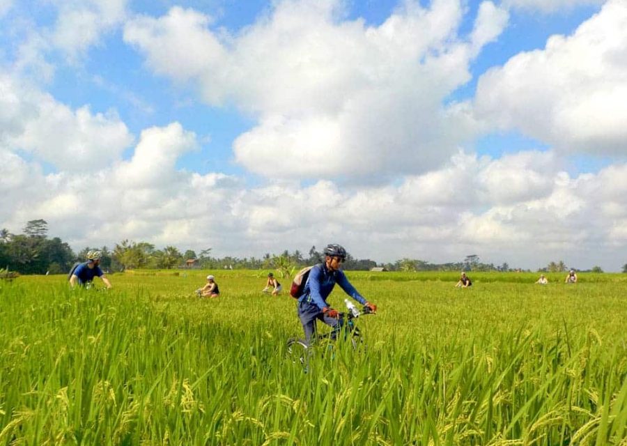 eBikesBali-Ubud-to-Tegalalang-Tour_23