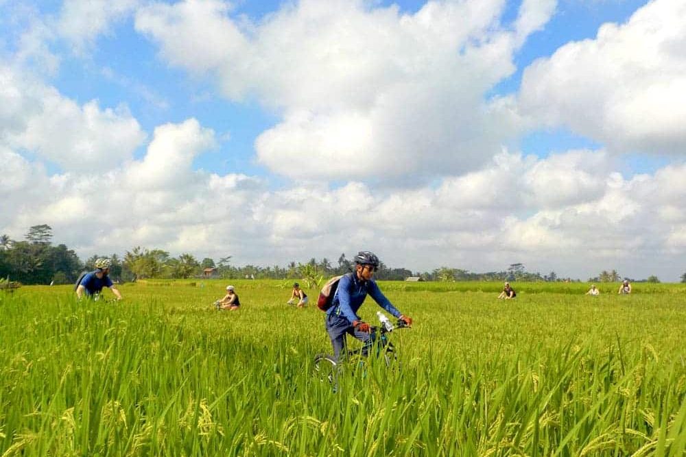 eBikesBali-Ubud-to-Tegalalang-Tour_23