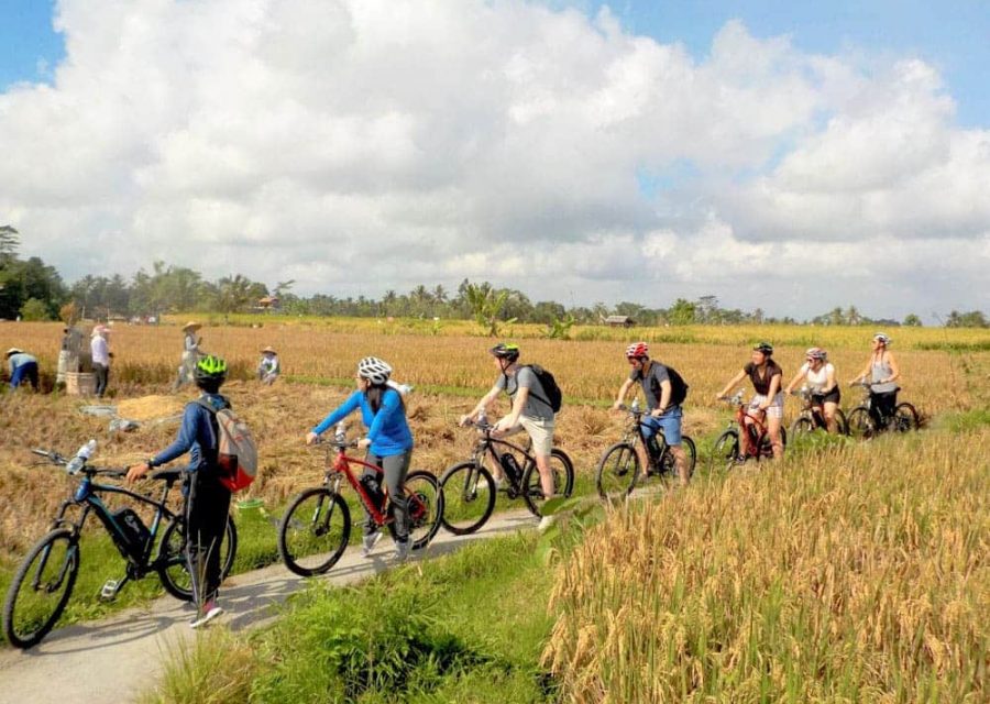 eBikesBali-Ubud-to-Tegalalang-Tour_24