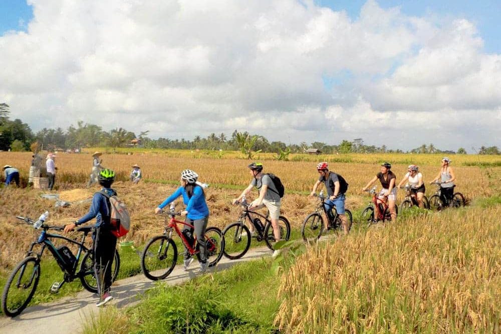 eBikesBali-Ubud-to-Tegalalang-Tour_24