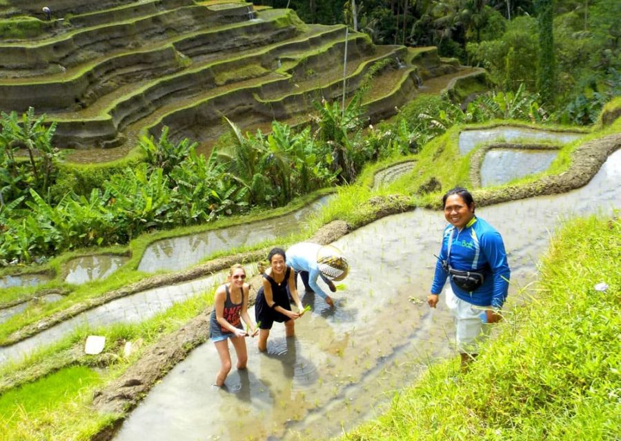 eBikesBali-Ubud-to-Tegalalang-Tour_26