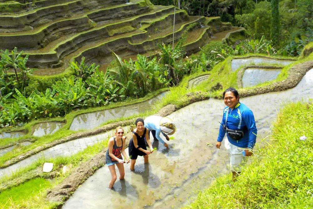 eBikesBali-Ubud-to-Tegalalang-Tour_26