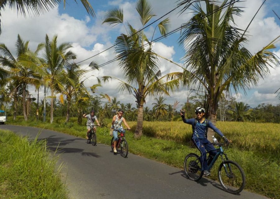 eBikesBali-Ubud-to-Tirta-Empul-Tour_05