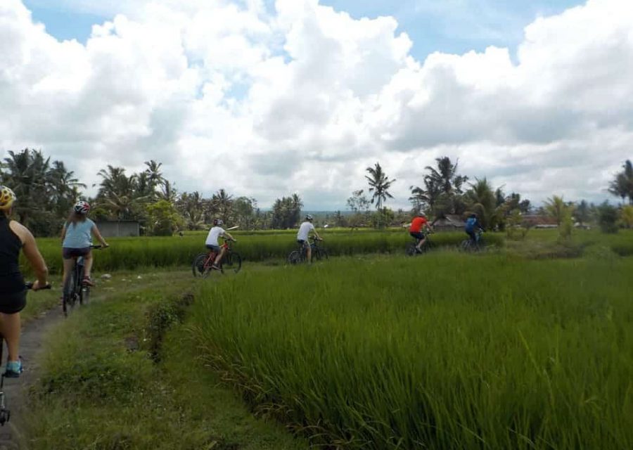 eBikesBali-Ubud-to-Tirta-Empul-Tour_10