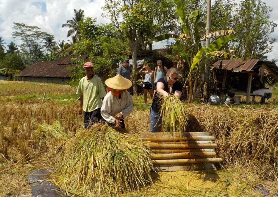 eBikesBali-Ubud-to-Tirta-Empul-Tour_18