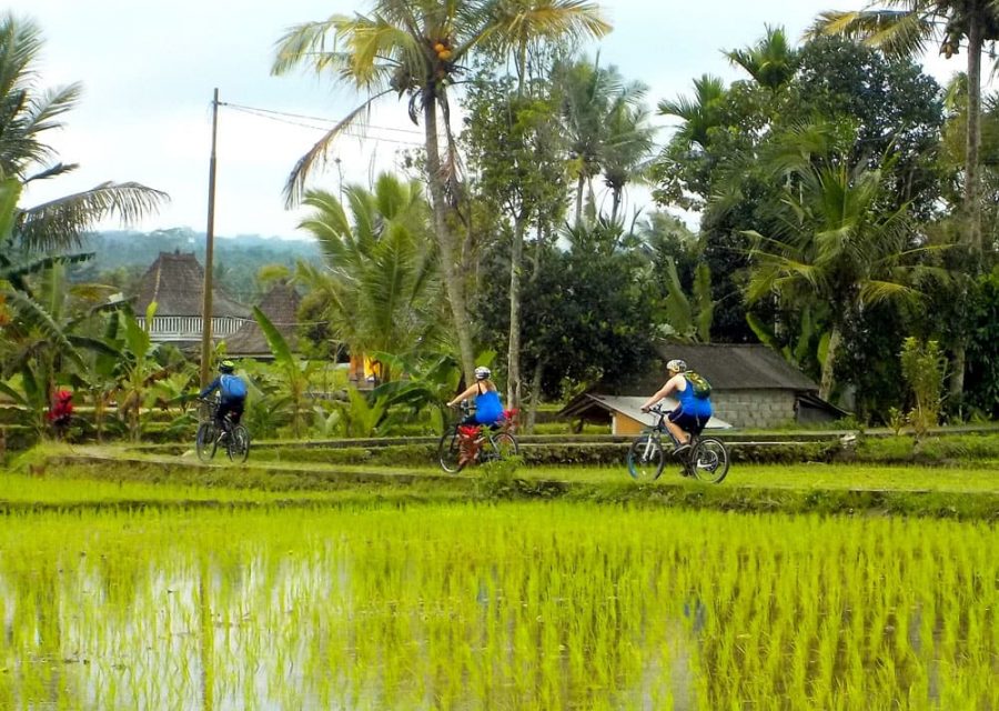 eBikesBali-Ubud-to-Tirta-Empul-Tour_21