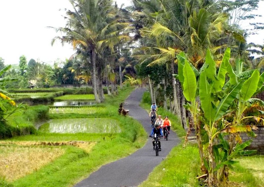 eBikesBali-Ubud-to-Tirta-Empul-Tour_23