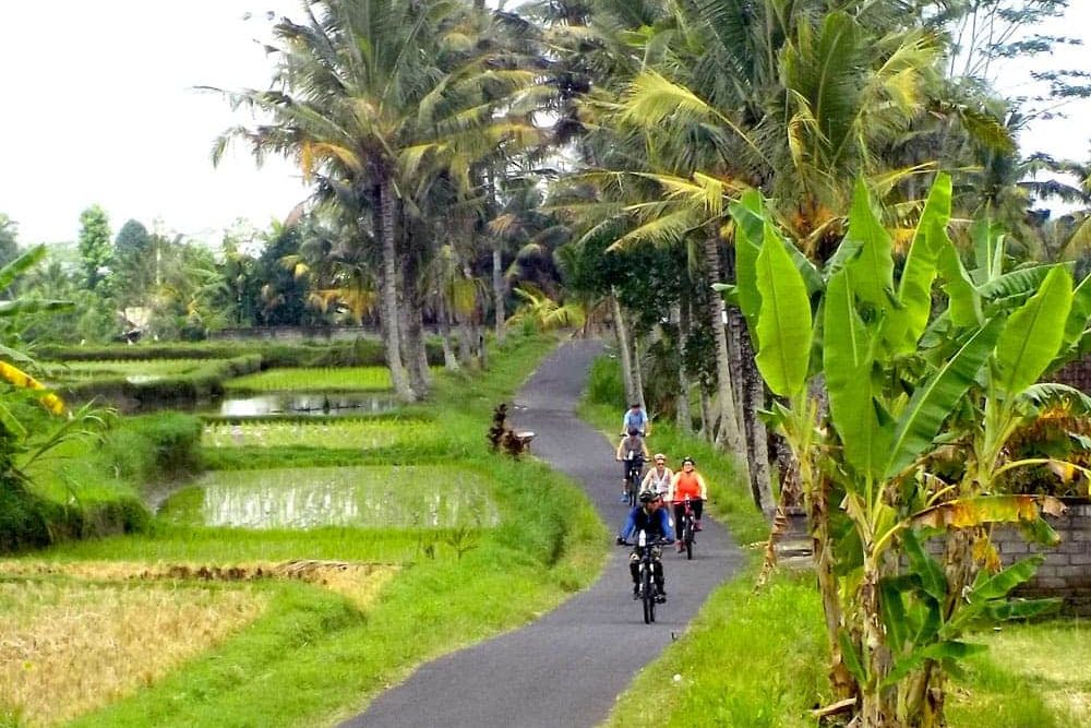 eBikesBali-Ubud-to-Tirta-Empul-Tour_23