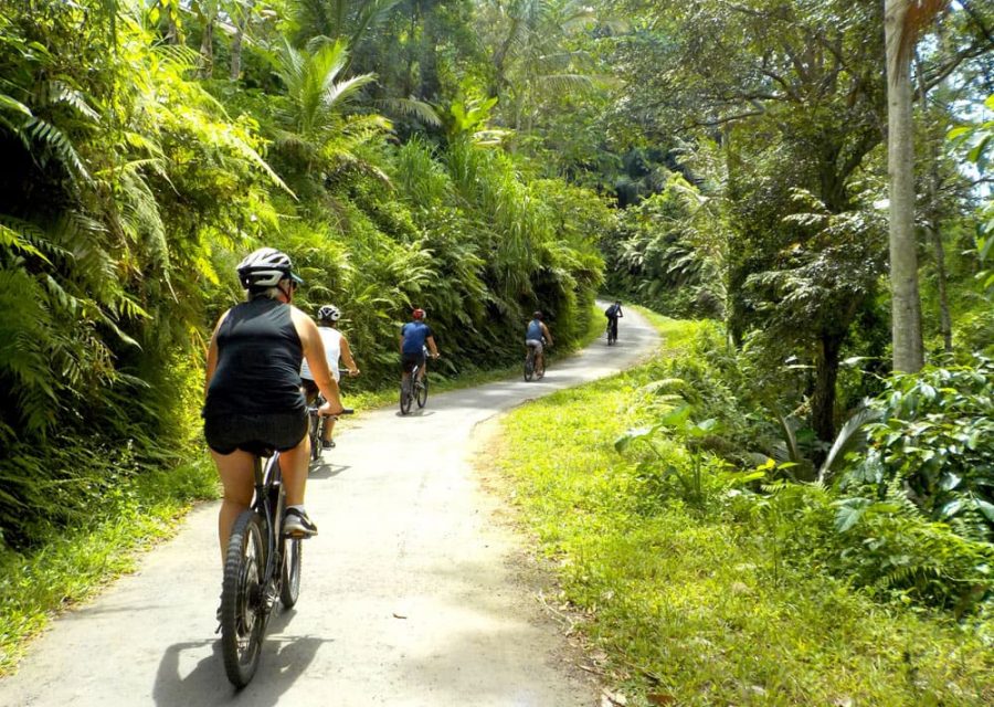 eBikesBali-Ubud-to-Tirta-Empul-Tour_24