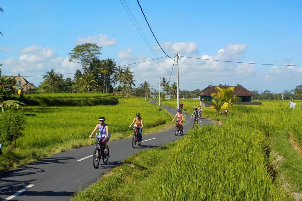 ubud-to-tegalalang-tours