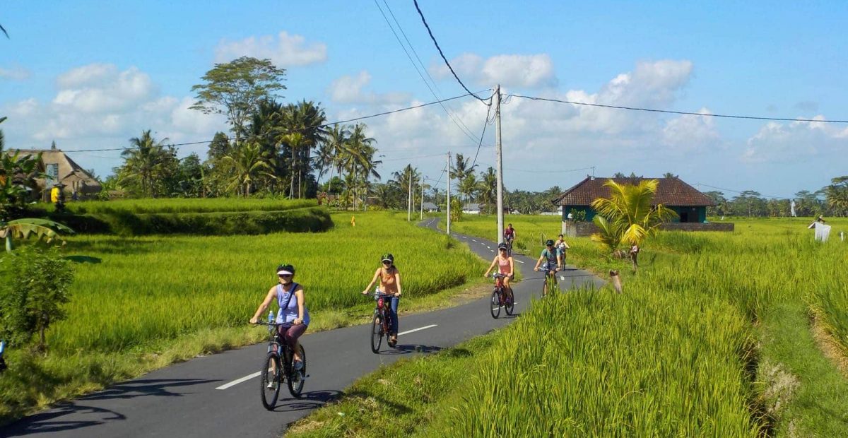 ubud-to-tegalalang-tours