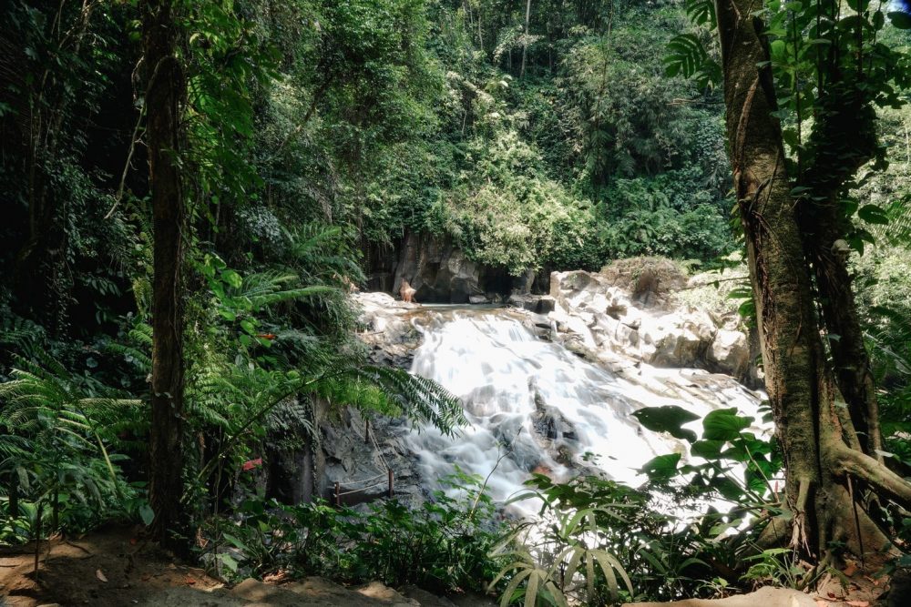 ubud-waterfall-tours-5