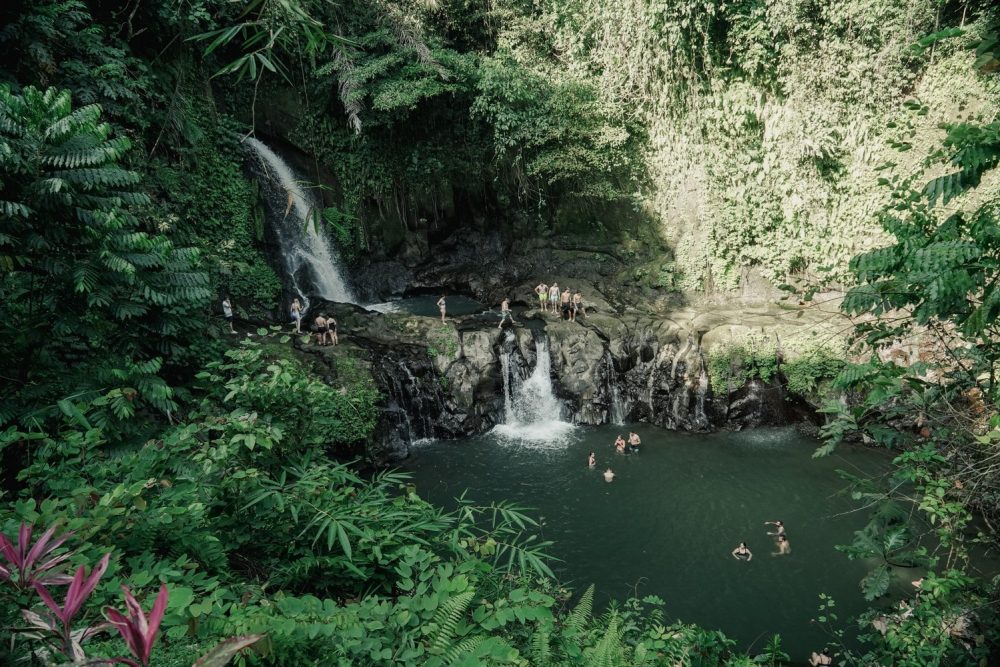 ubud-waterfall-tours-6